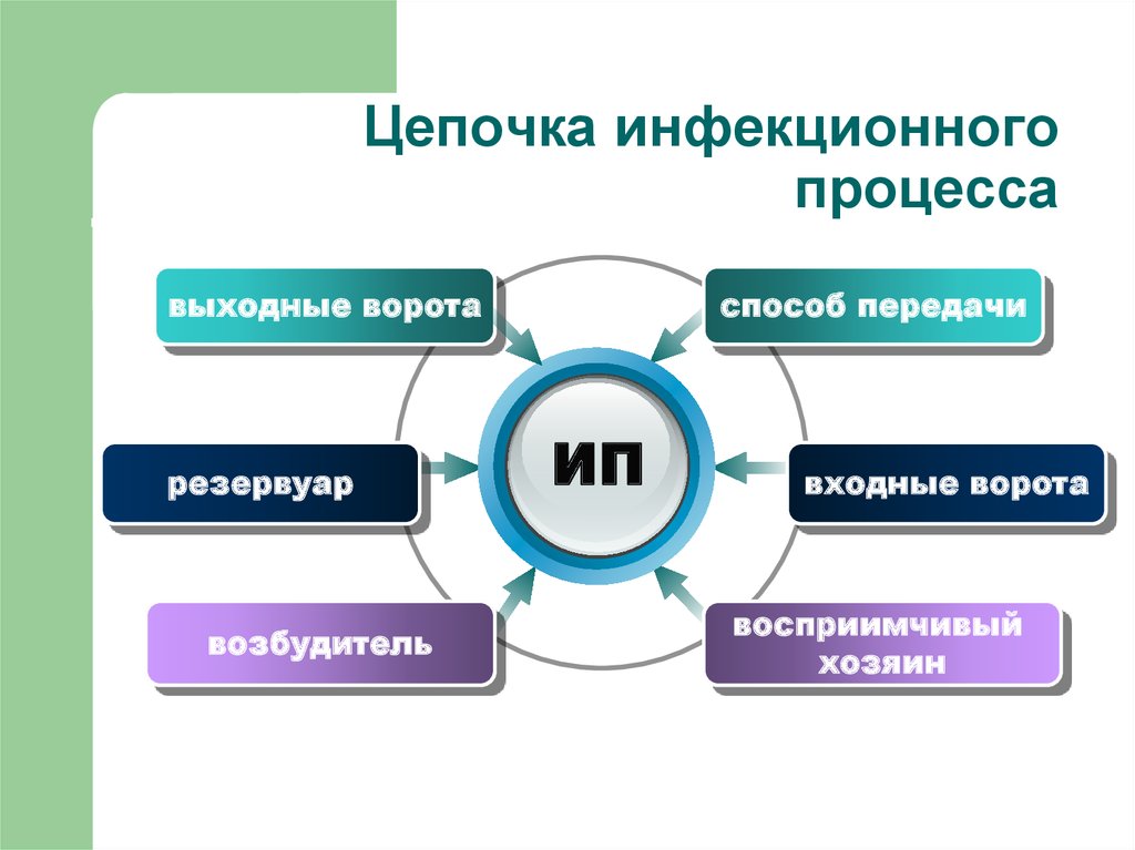 Схема цепочки инфекционного процесса