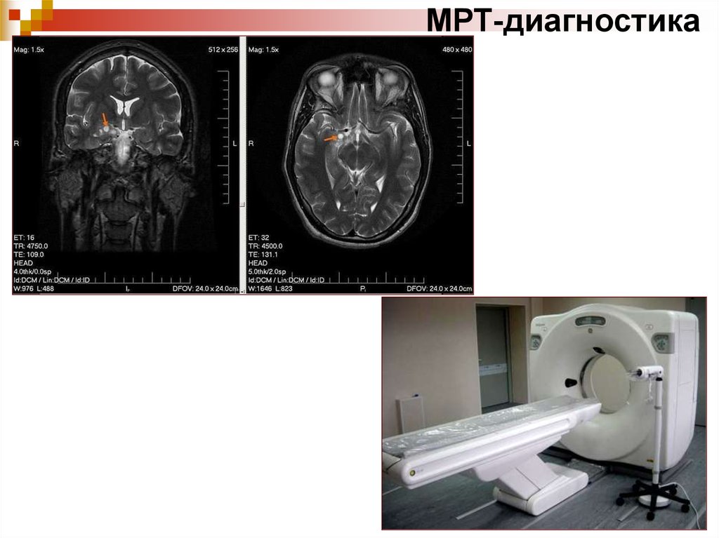 Мрт и кт диагностика каменск шахтинский
