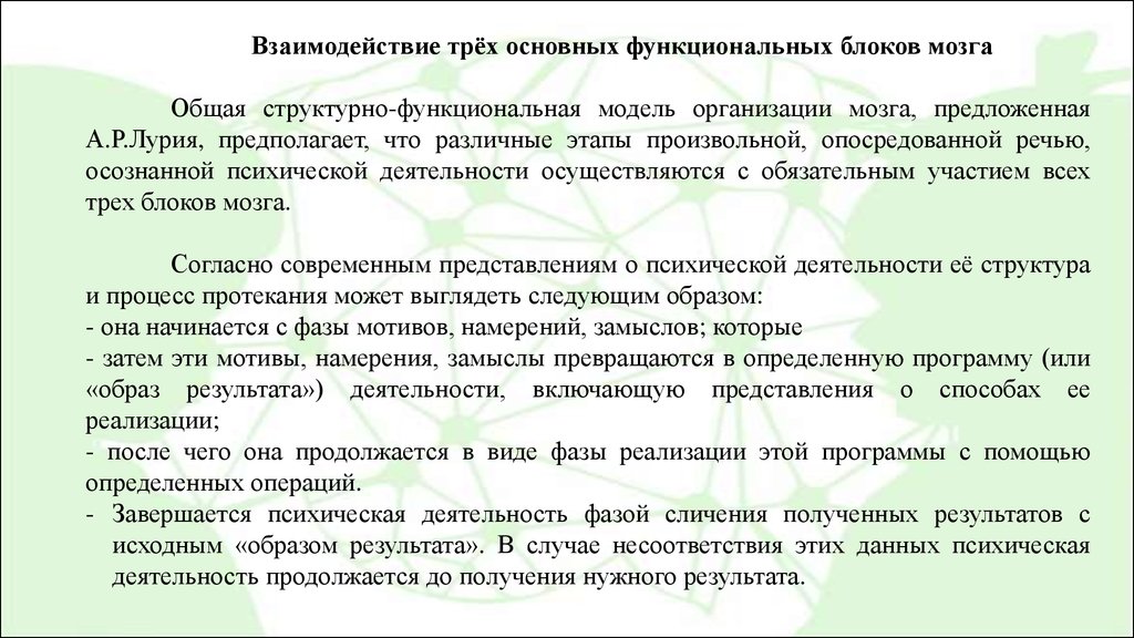 Взаимодействие с 3 ли. Взаимодействие трех основных функциональных блоков мозга.