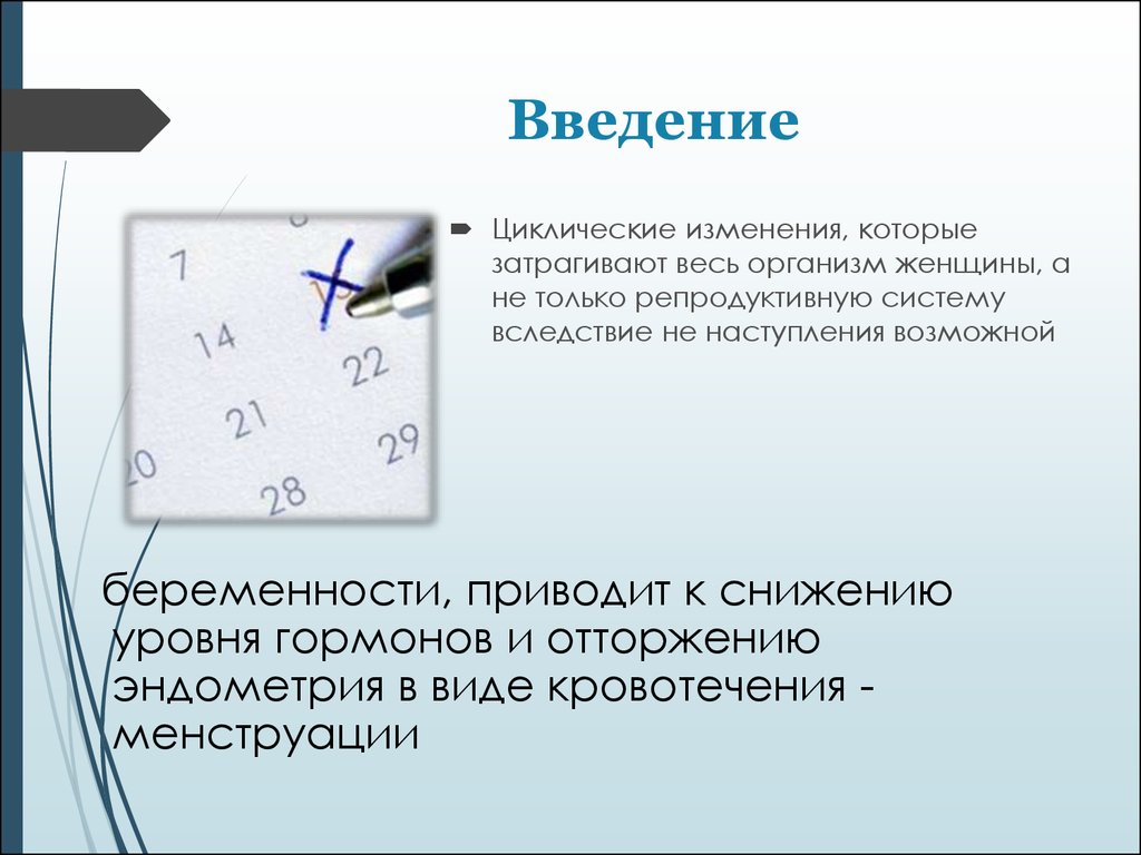 Циклические изменения. Циклические изменения тургора.