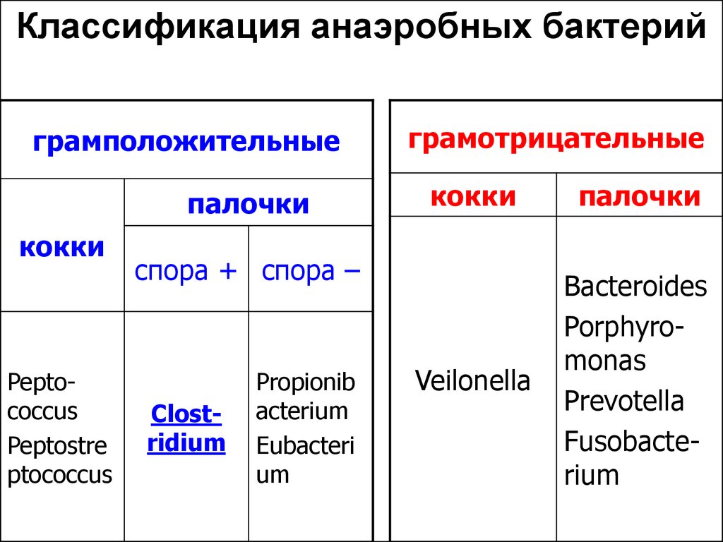 Аэробная среда. Классификация анаэробов микробиология. Классификация микроорганизмов микробиология таблица. Факультативные анаэробы грамположительные палочки. Классификация анаэробных бактерий.