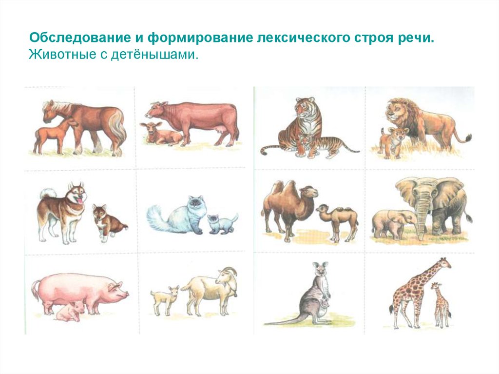 Обследование речи. Обследование грамматического строя речи у дошкольников. Образование детенышей животных. Обследование лексического строя речи у дошкольников. Материал для обследования грамматического строя речи.