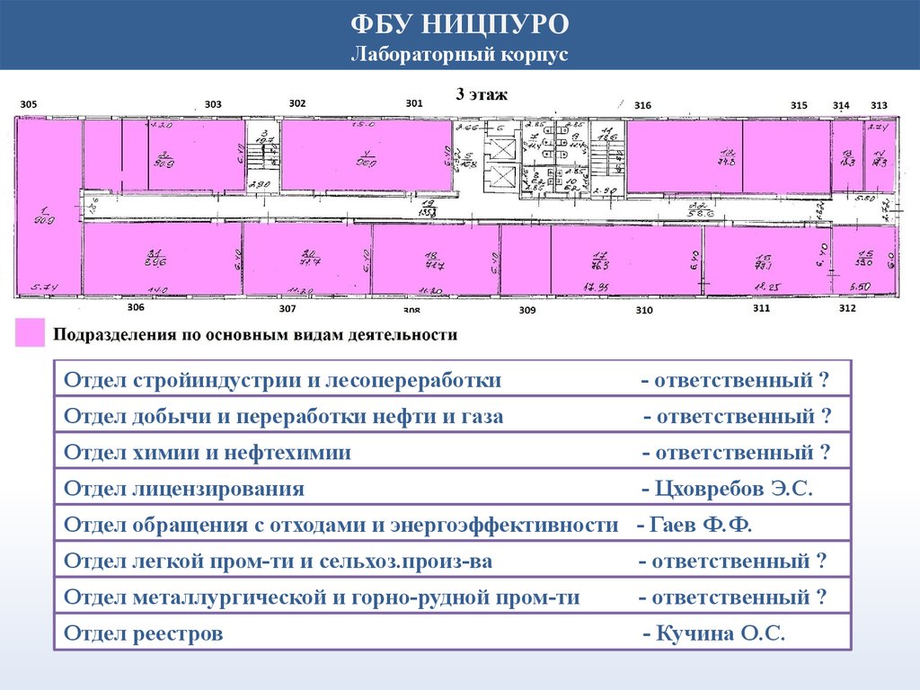 view Web Design: The Plan Before