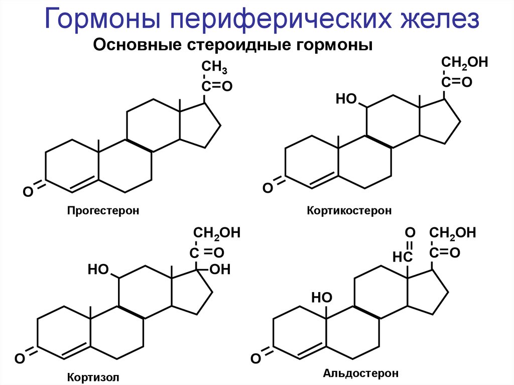 Гормоны в химии презентация