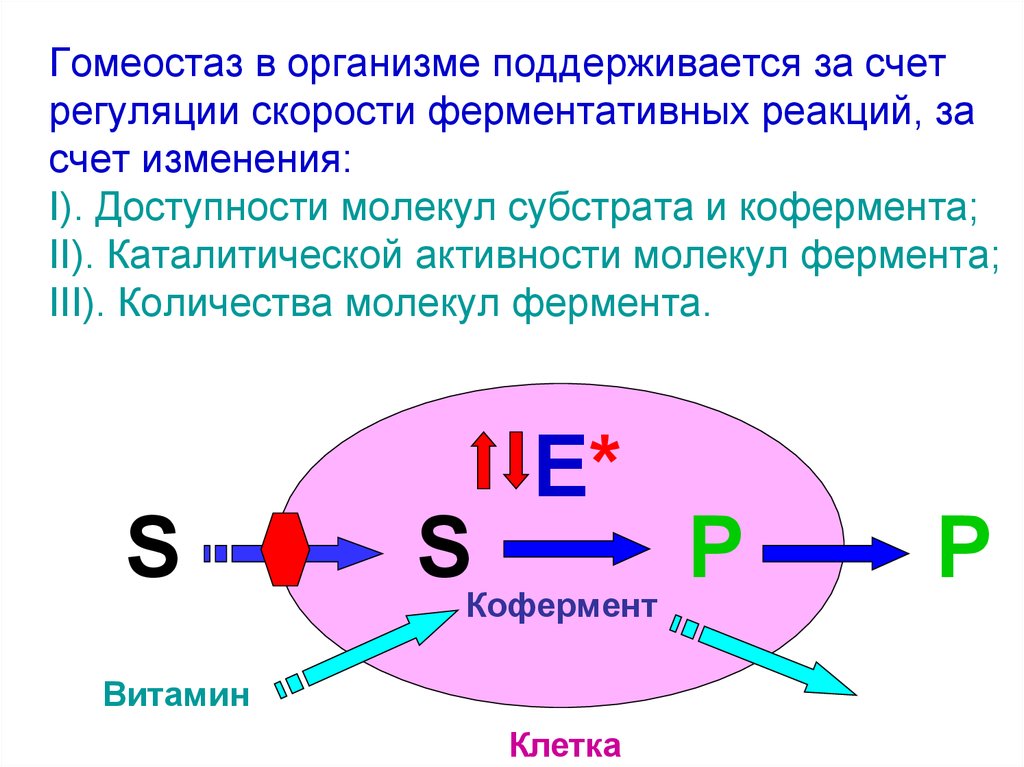 Поддерживает гомеостаз организма. Гомеостаз биохимия. Как поддерживается гомеостаз. Роль гомеостаза в организме. Как поддерживается гомеостаз в организме.