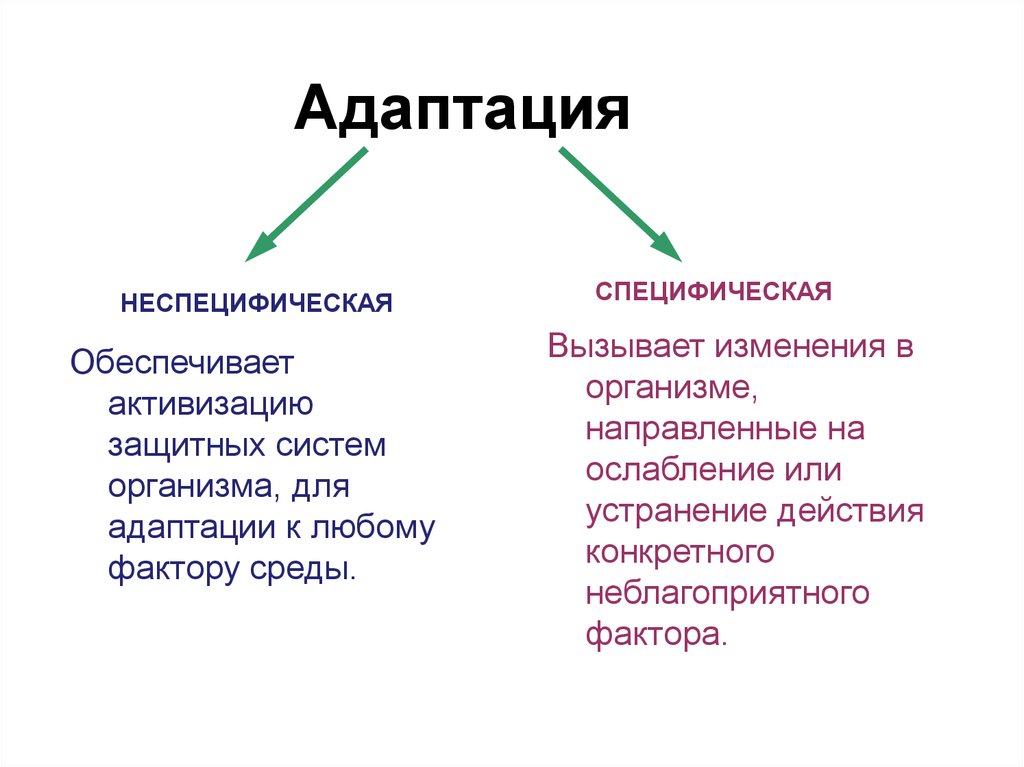 Неспецифическая реакция организма на любое предъявляемое