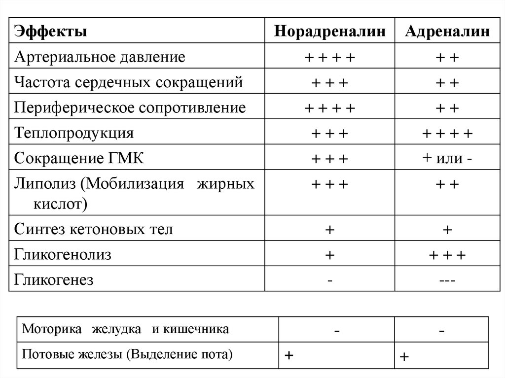 Норадреналин и адреналин отличия. Функциональные эффекты адреналина и норадреналина таблица. Функциональные эффекты адреналина и норадреналина. Норадреналин эффекты. Норадреналин физиологический эффект.