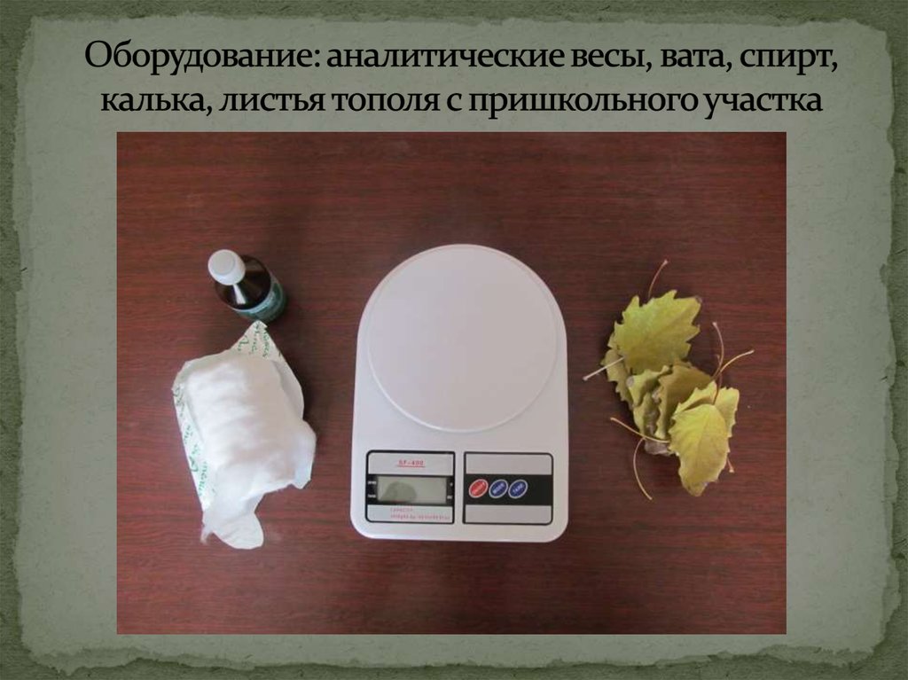 Оборудование: аналитические весы, вата, спирт, калька, листья тополя с пришкольного участка