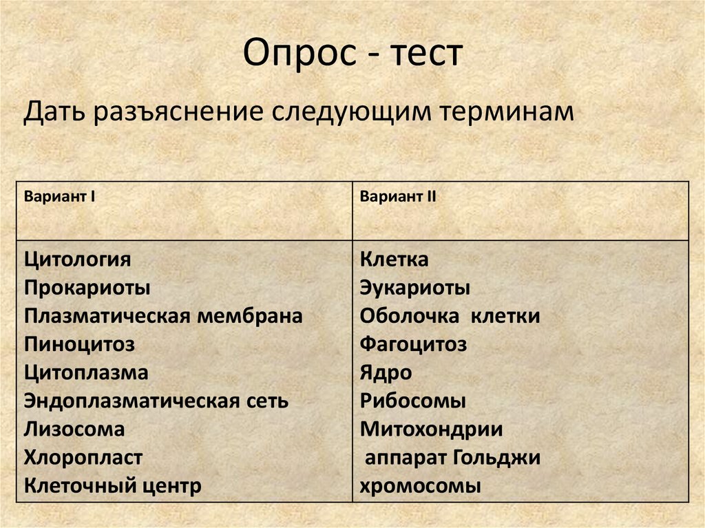 Дайте понятие следующим. Прокариоты и эукариоты тест. Составляющие клетки тест. Плазматическая мембрана прокариот и эукариот. Тест по биологии Прокариотическая клетка с ответами.