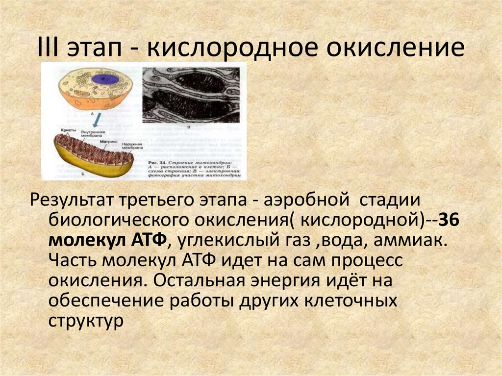 Кислородное окисление