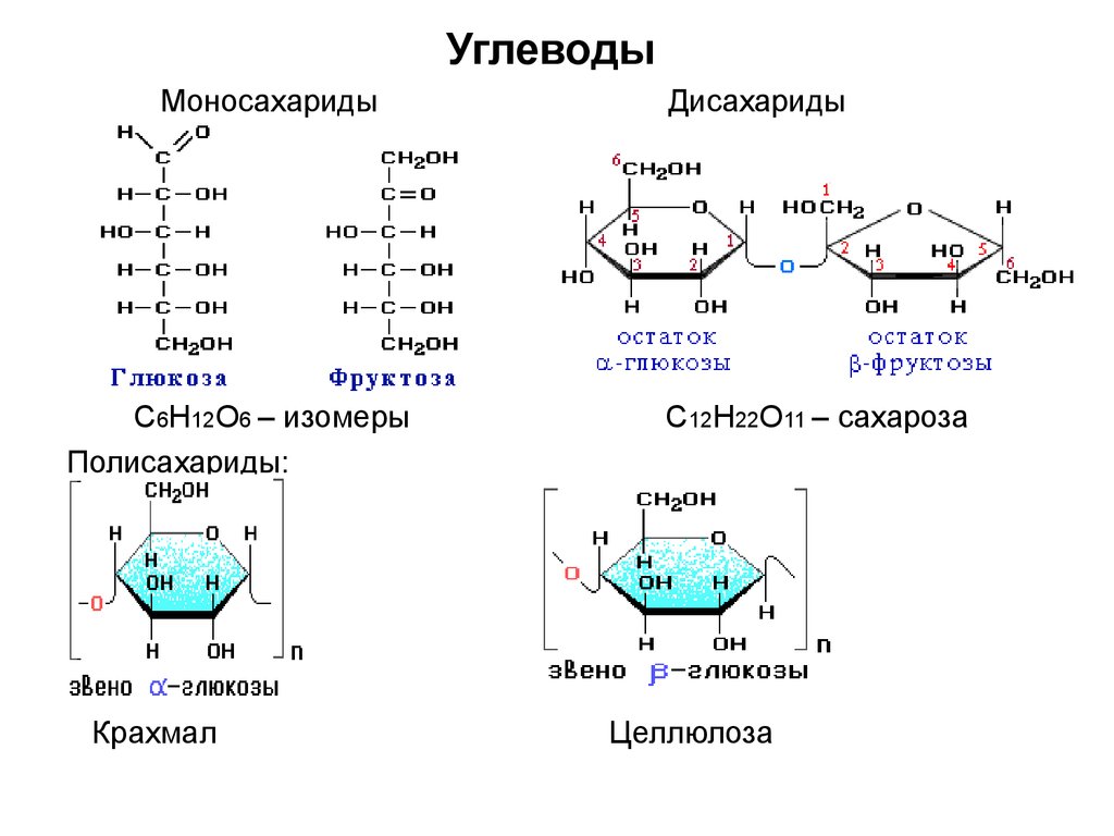Гидролизу подвергается глюкоза рибоза целлюлоза. Строение углеводов моносахаридов дисахаридов.полисахаридов. Углеводы моносахариды формулы. Моносахариды строение формула. Химическая структура моносахаридов углевода.