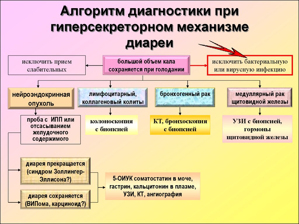 Синдром диареи. Алгоритм диагностики диареи. Механизм возникновения диареи. Алгоритм лечения диареи. Диагностический алгоритм при синдроме диареи.