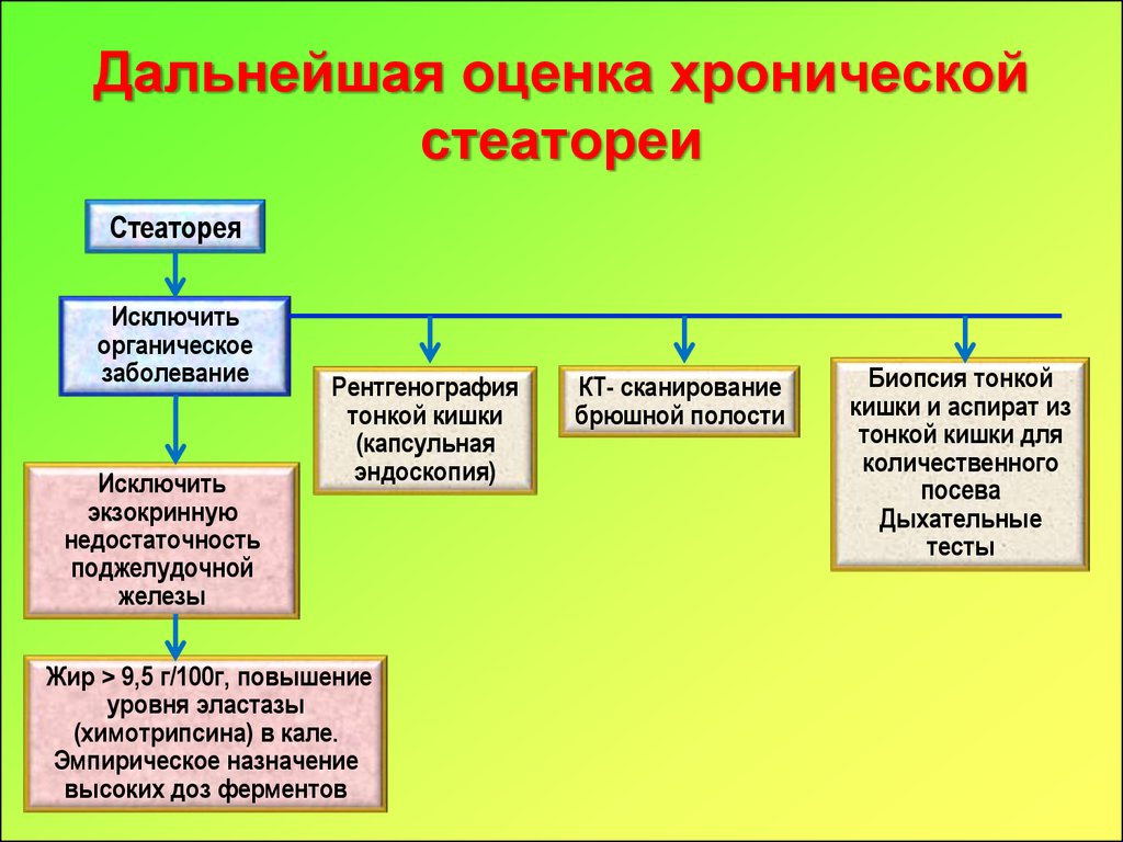 Хроническая стеаторея