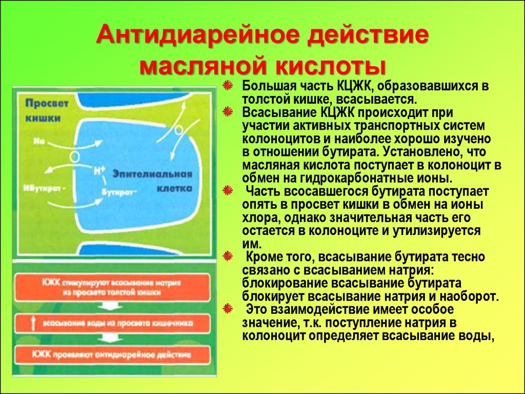 Действие кислот. Источник масляной кислоты. Масляная кислота действие на организм. Бутират масляная кислота. Действия масляной кислоты.