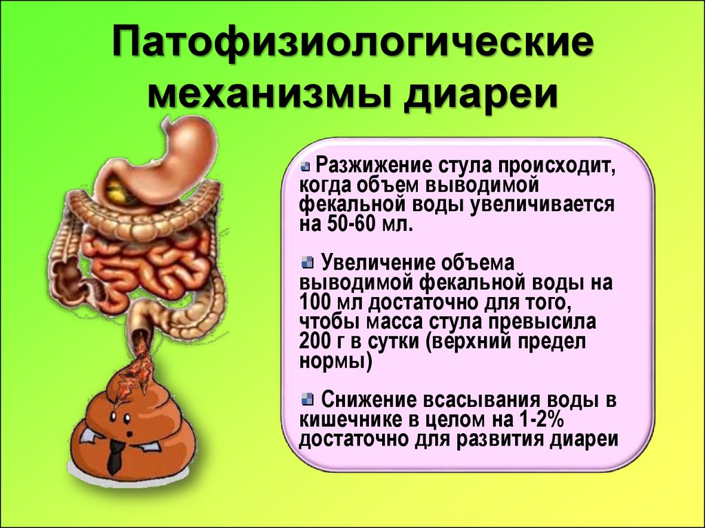 Диарея 4. Механизм образования диареи. Презентация на тему диарея. Воспалительная диарея механизм. Диарея патофизиология.