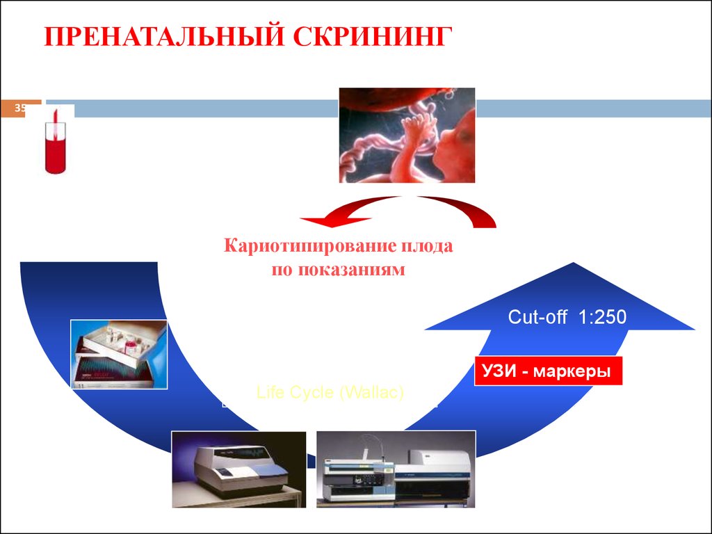 Скрининг женского населения презентация