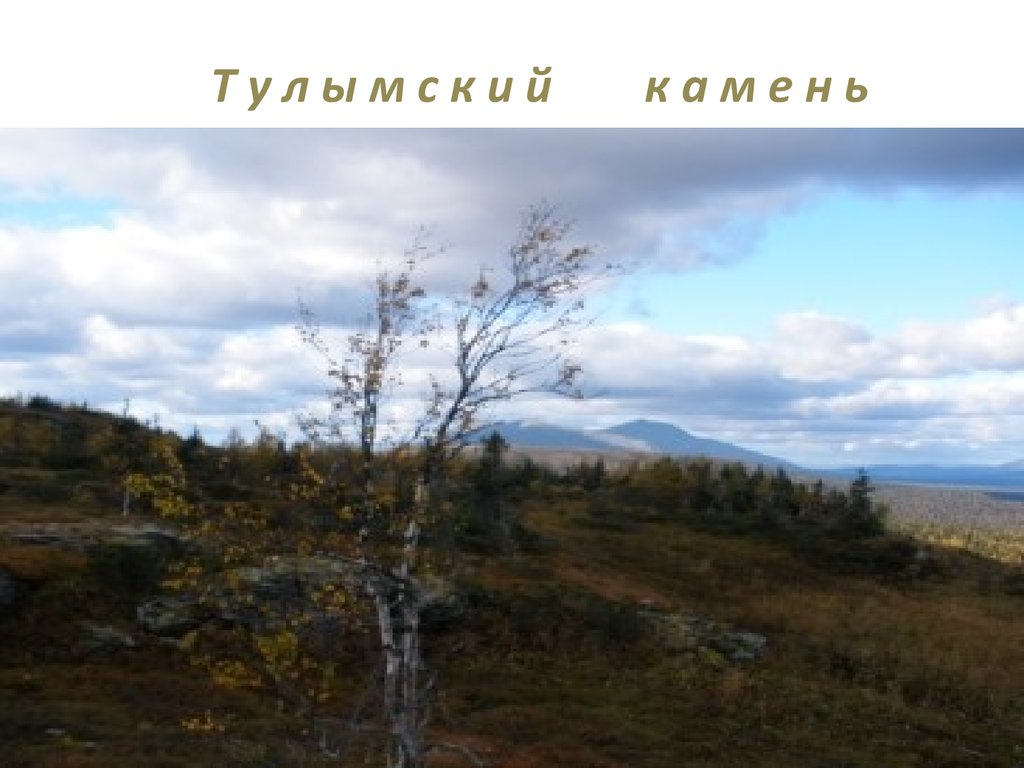 Т у л ы м с к и й к а м е н ь Тулымский камень является высшей точкой Пермского края, расположен в бассейне р. Вишеры. Длина 35 км. Высота до 1377 м. 