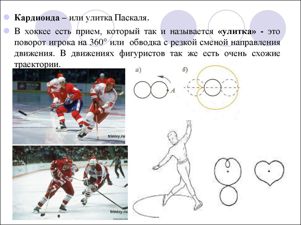 Улитка паскаля рисунок