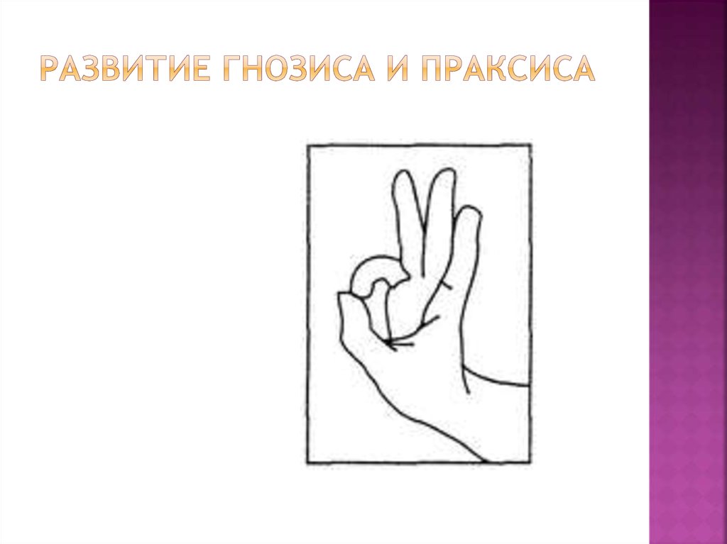 Праксис в логопедии. Зрительно-пространственный Гнозис и Праксис это. Пространственного гнозиса и праксиса. Зрительный Праксис. Нарушение праксиса и гнозиса.