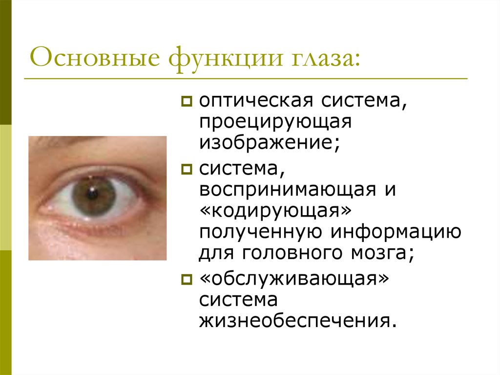 Зрение человека функции. Функции зрения глаза. Основные функции глаза. Функции органов зрения человека. Основные функции зрения.