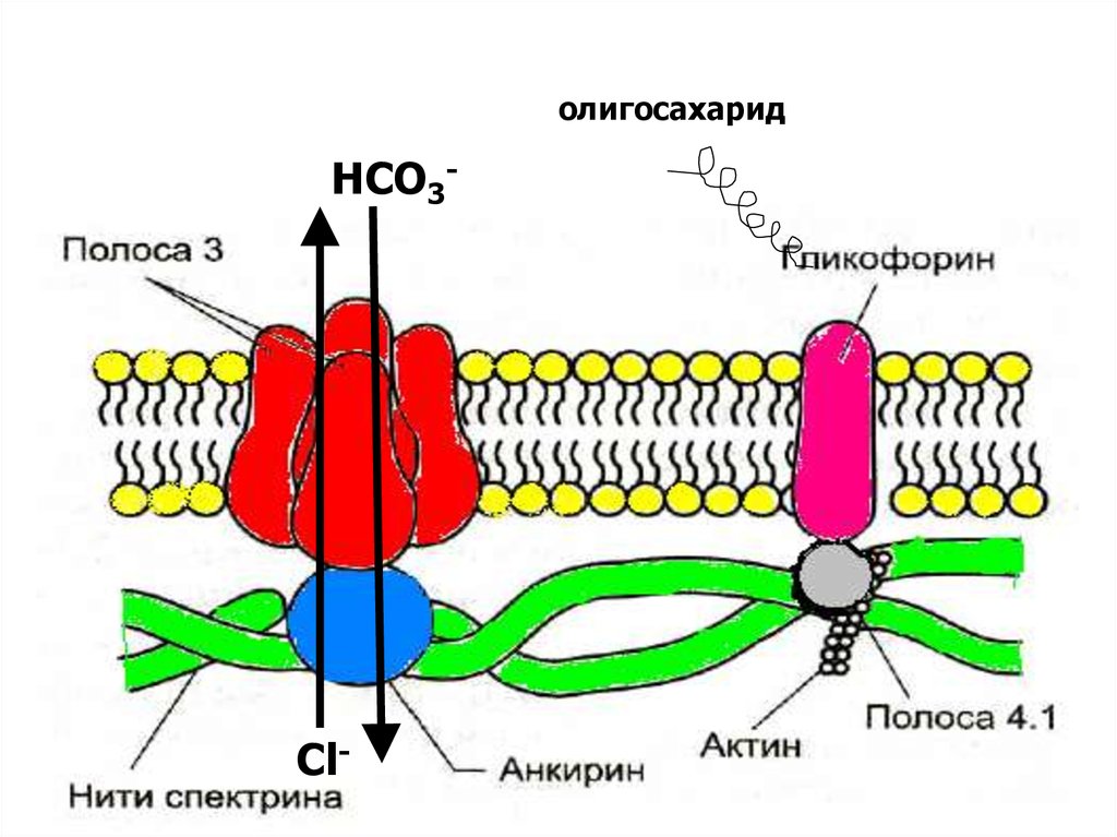 the radiochemistry