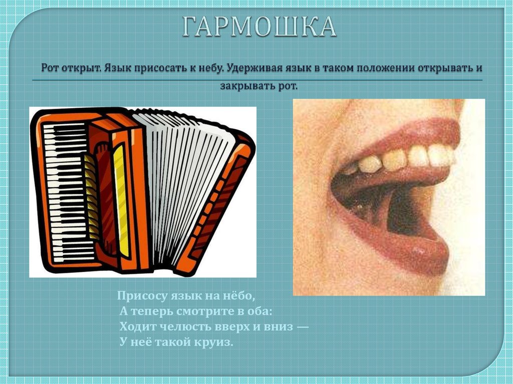 Язык откройте закройте. Гармошка артикуляционная гимнастика гармошка. Упражнение гармошка артикуляционная гимнастика. Гармошка логопедическое упражнение. Гармошка гимнастика для языка.