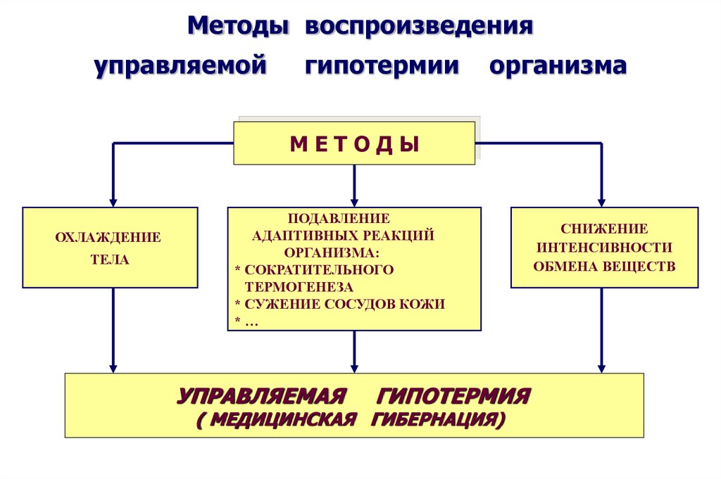 Управлять воспроизведением