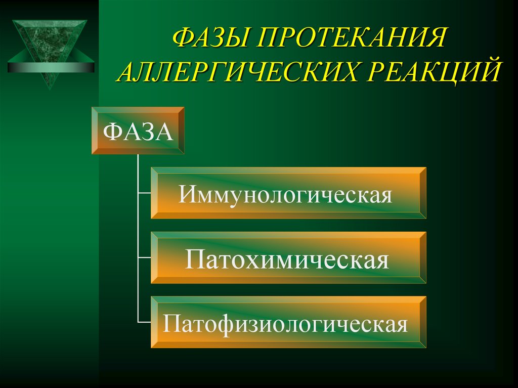 Фаза реакций. Стадии протекания аллергии. Фазы протекания Ковида. Аллергия лекция по патофизиологии студфилес.