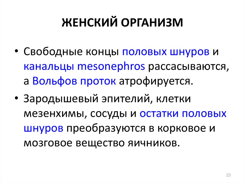 Свободный организм