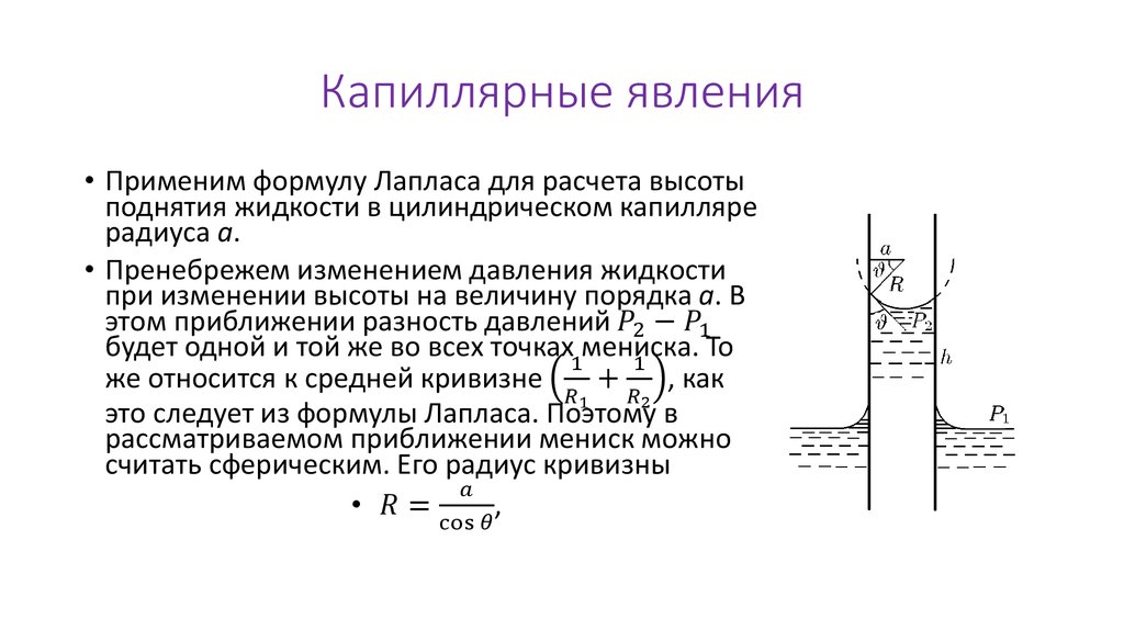 Капиллярные явления