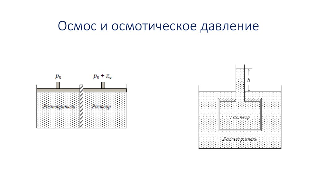 Осмос и осмотическое давление