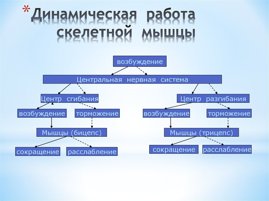 Вид работы динамический