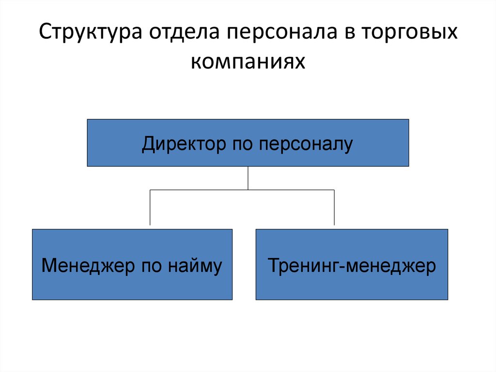 Ответы на отдел кадров. Структура отдела кадров. Структура отдела найма персонала. Структура кадров торгового предприятия. Структура кадрового состава торгового предприятия.