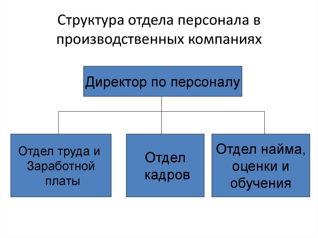 Структура кадров организации. Структура отдела кадров на предприятии схема. Организационная структура отдела кадров компании. Организационная структура отдела кадров на предприятии. Структура кадрового отдела.