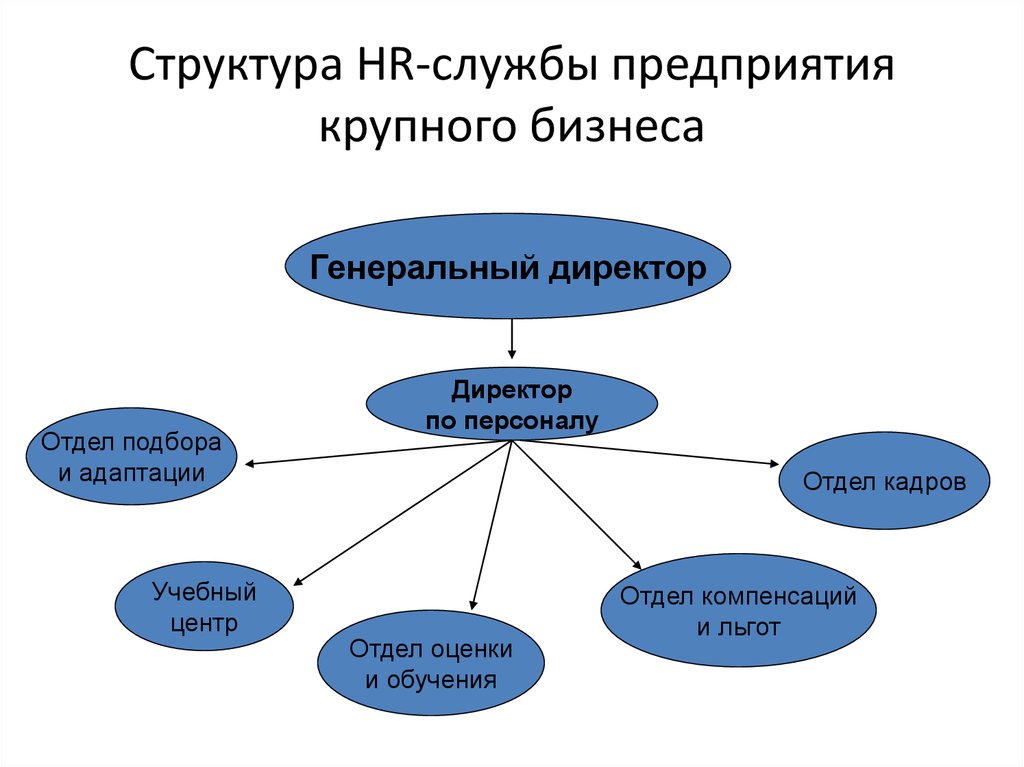 Структура HR-службы предприятия крупного бизнеса