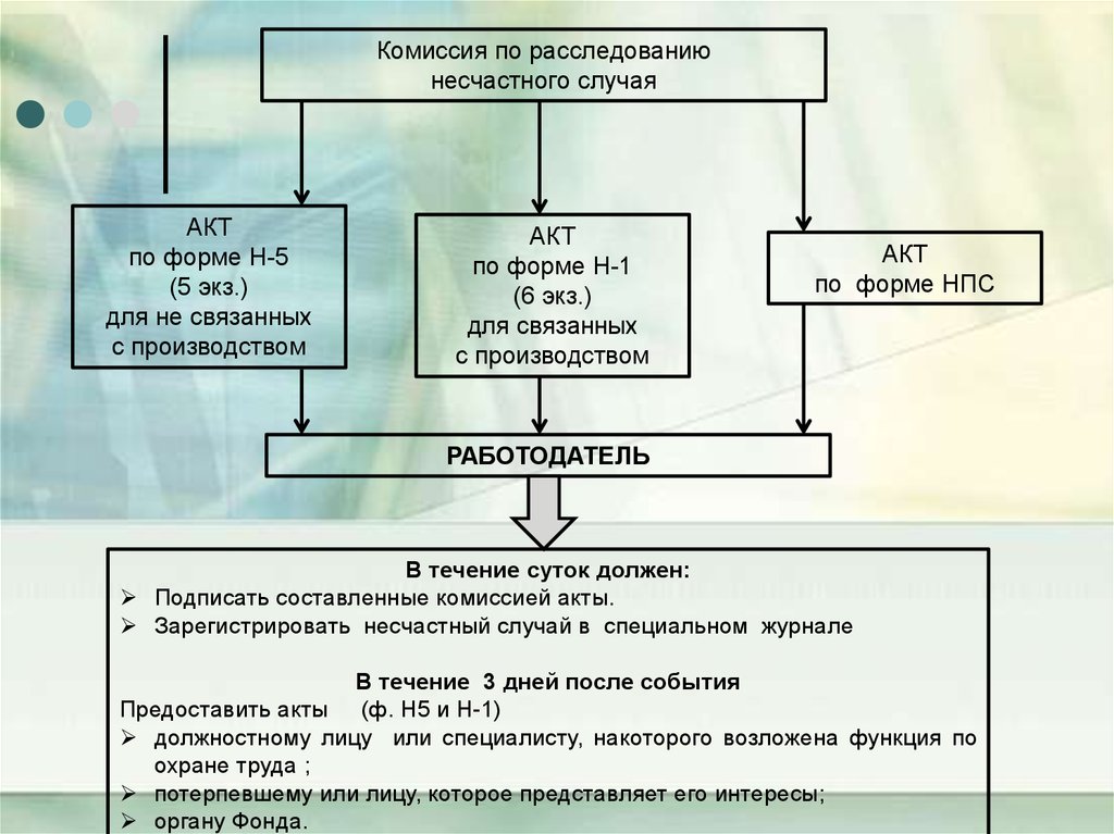 Формы н. Акт по форме н-5. Акт н-5 в ДНР. Форма н-5 ДНР бланк. Локальные протоколы туберкулез ДНР.