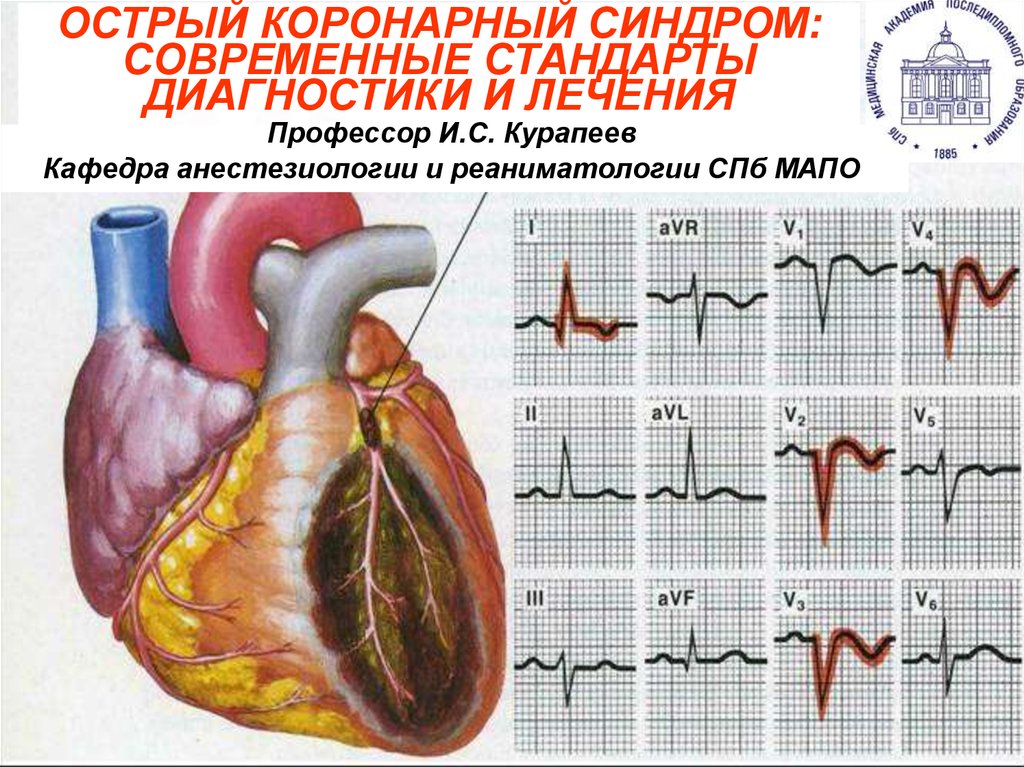 Окс картинки для презентации