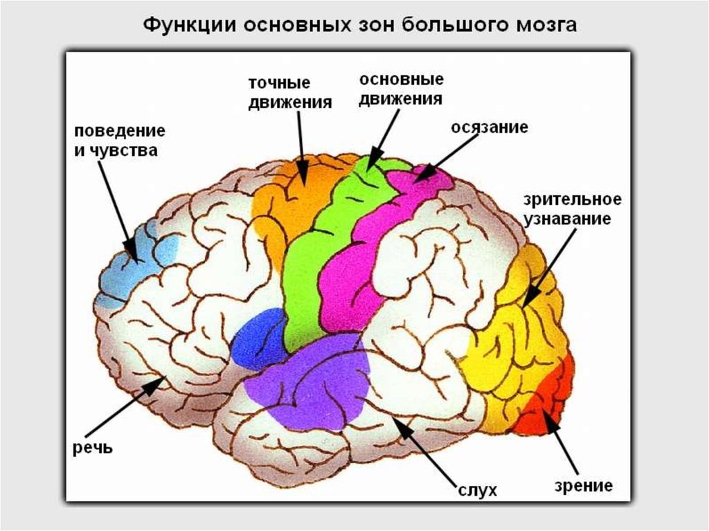 Функции головного телефона не поддерживаются в текущей аппаратной среде