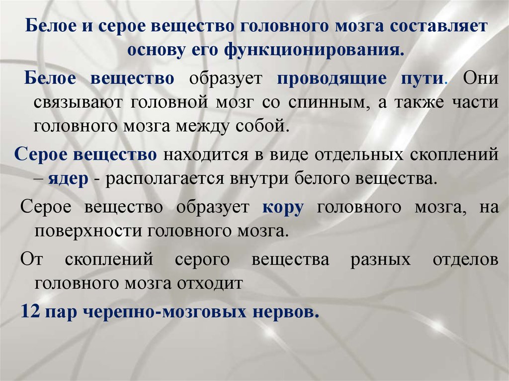 Белое вещество образовано. Функции серого и белого вещества. Серое вещество функции. Серое вещество головного мозга образовано. Функции серого вещества функции белого вещества.