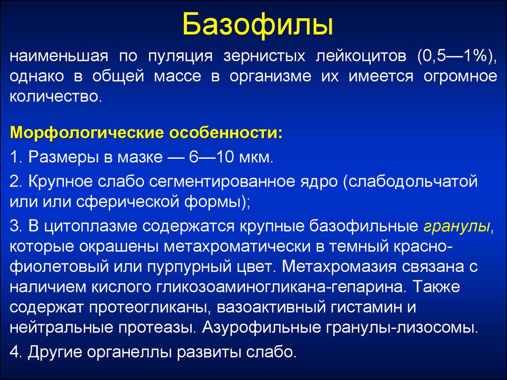 Характеристика лейкоцитов. Базофилы характеристика. Морфологические особенности лейкоцитов. Морфофункциональная характеристика базофила. Морфофункциональная характеристика лейкоцитов.