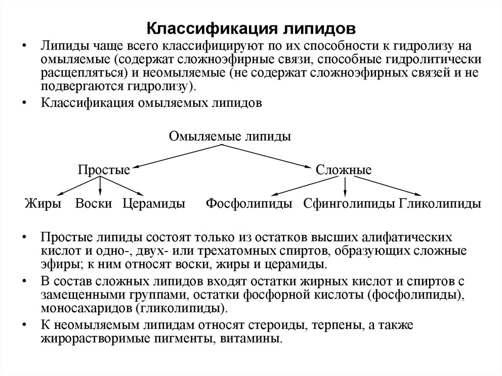 Липиды биохимия презентация