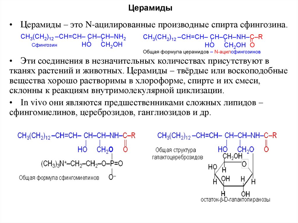 Церамиды это. Из сфингозина в церамид. Церамид формула структурная. Церамиды общая формула. Церамиды схема строения.