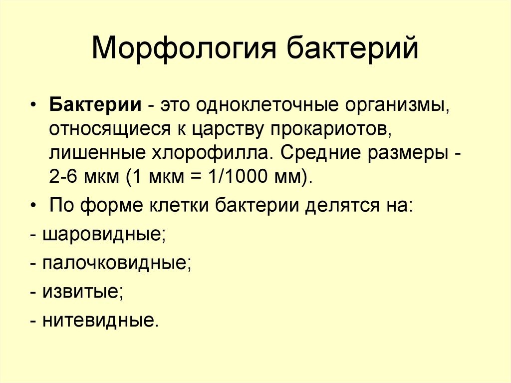 Классификация микроорганизмов морфология микроорганизмов презентация