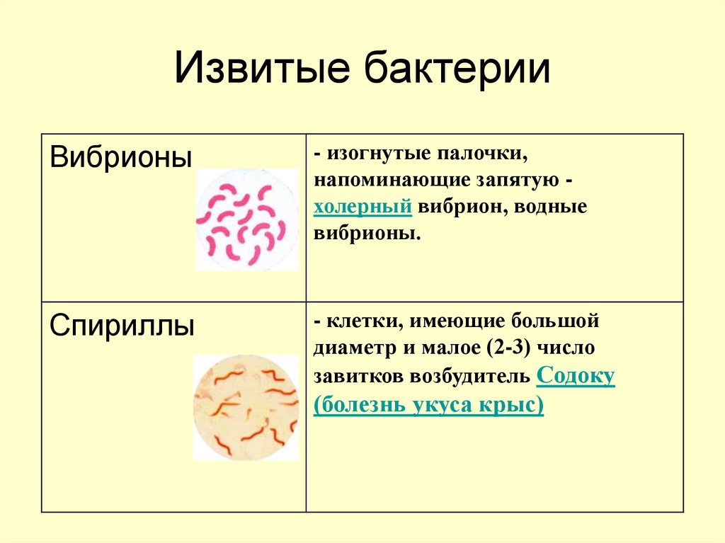 Лобстеры, устрицы и мидии теперь смертельно опасны