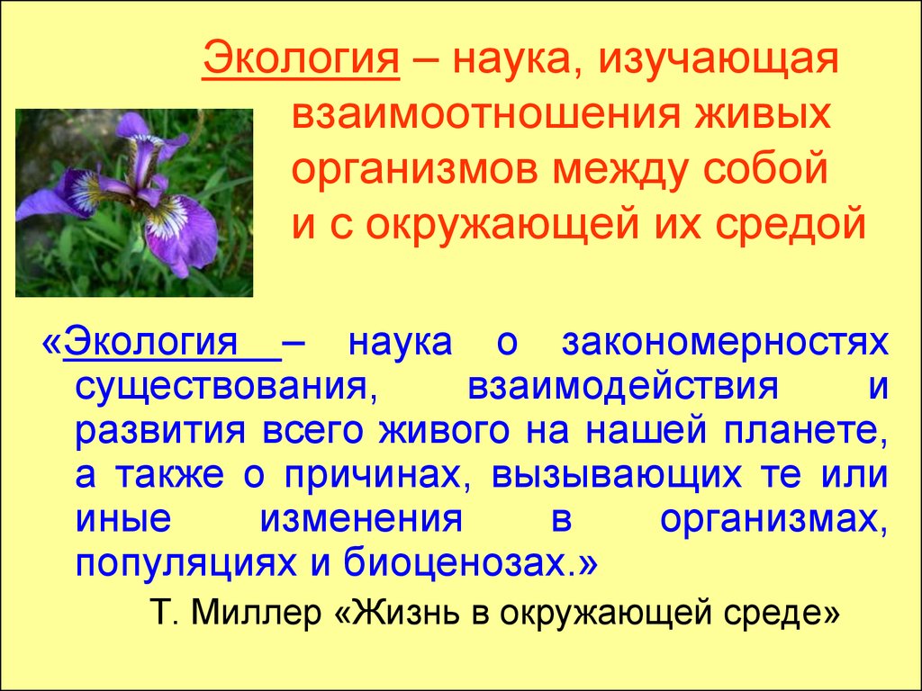 Экология наука о взаимоотношениях организмов между собой. Экология взаимоотношения организмов и окружающей среды. Наука изучающая взаимоотношения организмов между собой и со средой. Экология наука изучающая закономерность существования,формирования.