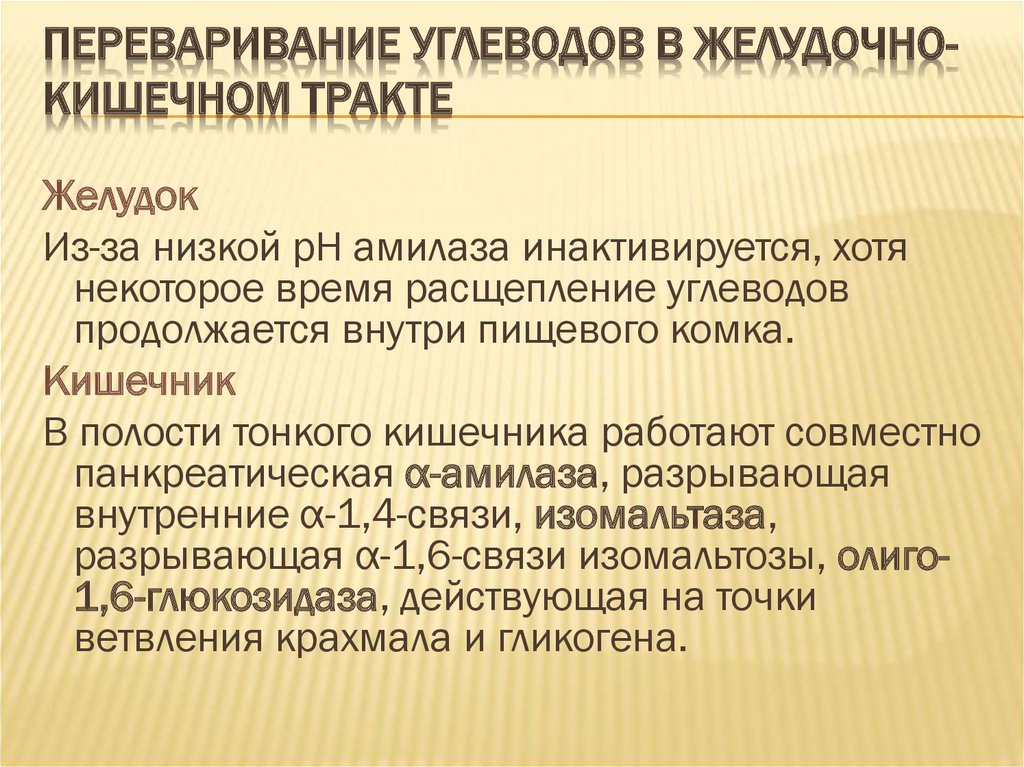 Переваривание углеводов в желудочно кишечном тракте