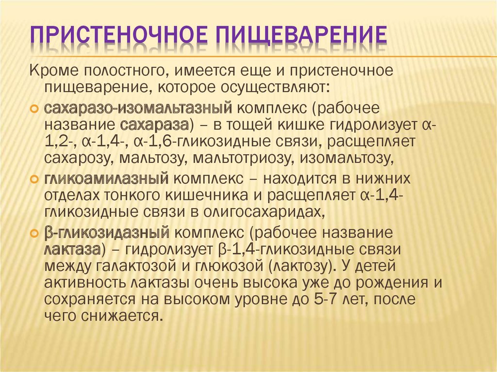 Пристеночное пищеварение