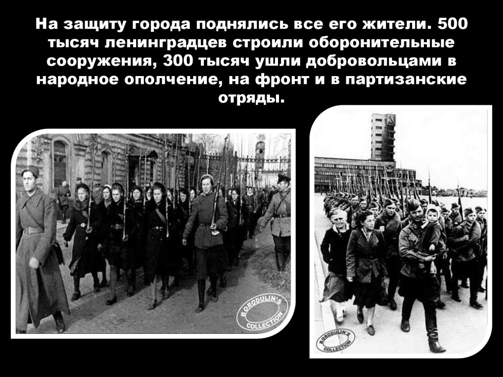 На защиту города поднялись все его жители. 500 тысяч ленинградцев строили оборонительные сооружения, 300 тысяч ушли добровольцами в народное 