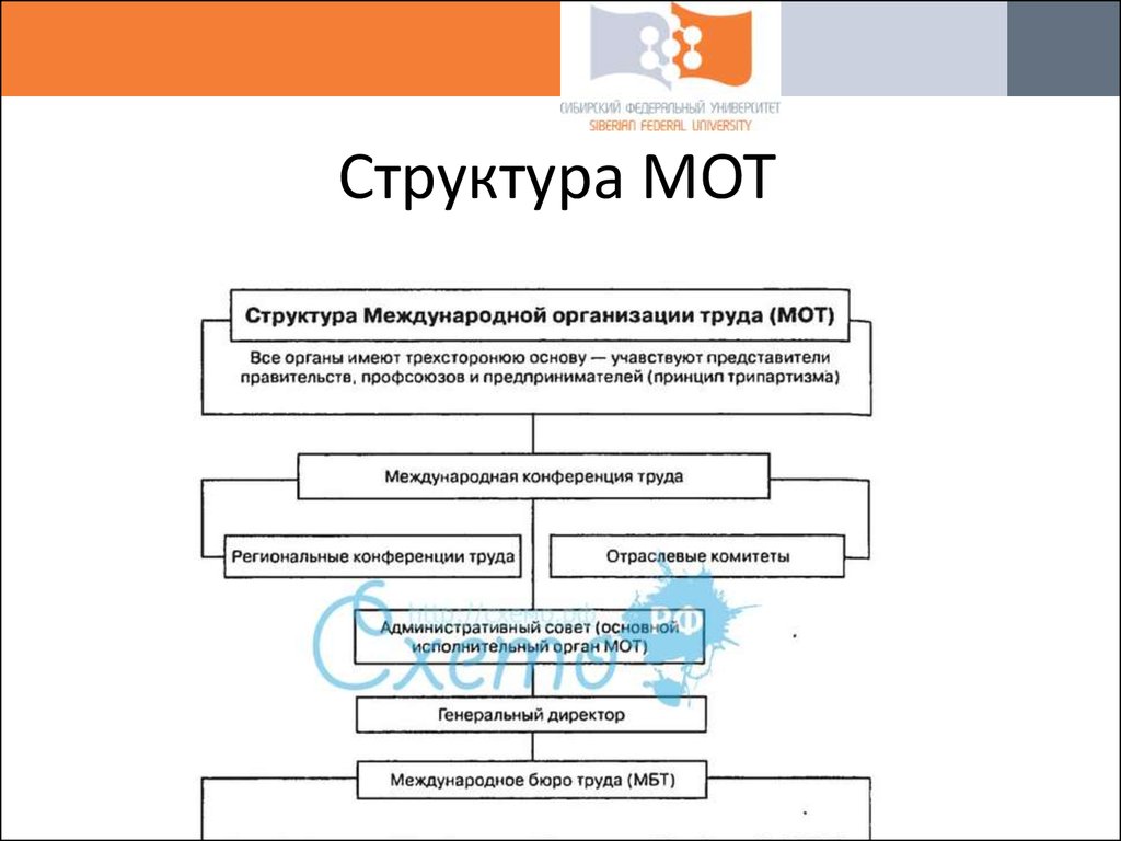 Международная организация труда презентация