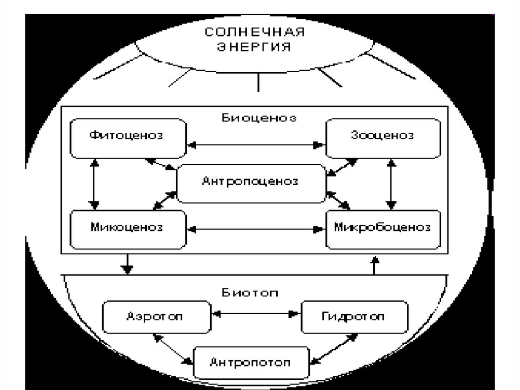 Ресурсы биосферы схема